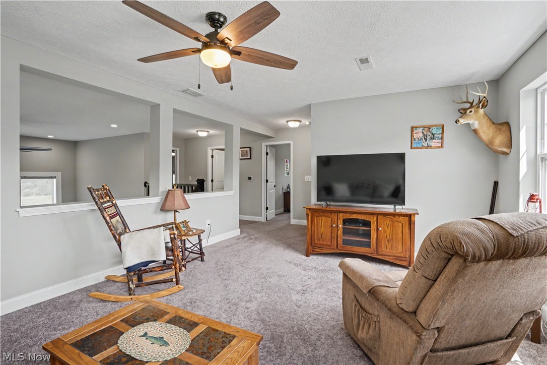 5667 North Torch Road Coolville, OH 45723 - Photo 18 of 50