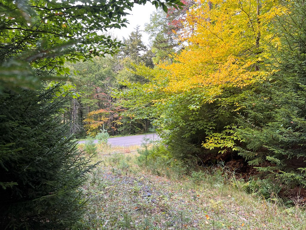0 North Point Road Long Lake, NY 12847 - Photo 4 of 14 Gallery Image 4