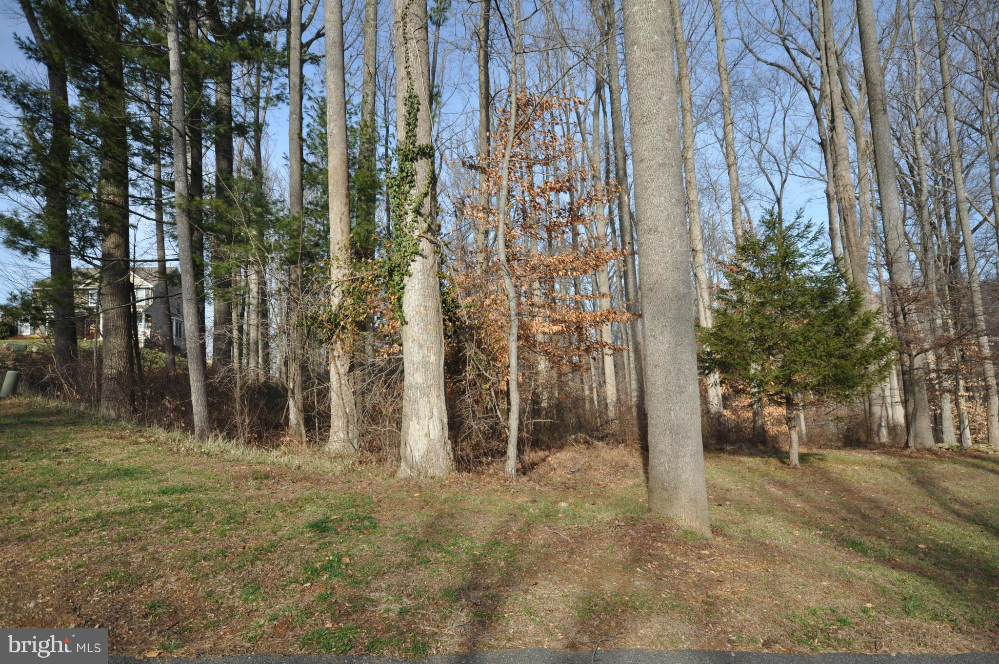 306 Patterson Mill Road Bel Air, MD 21015 - Photo 4 of 9 Exterior (Front)