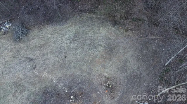 a view of a dry yard