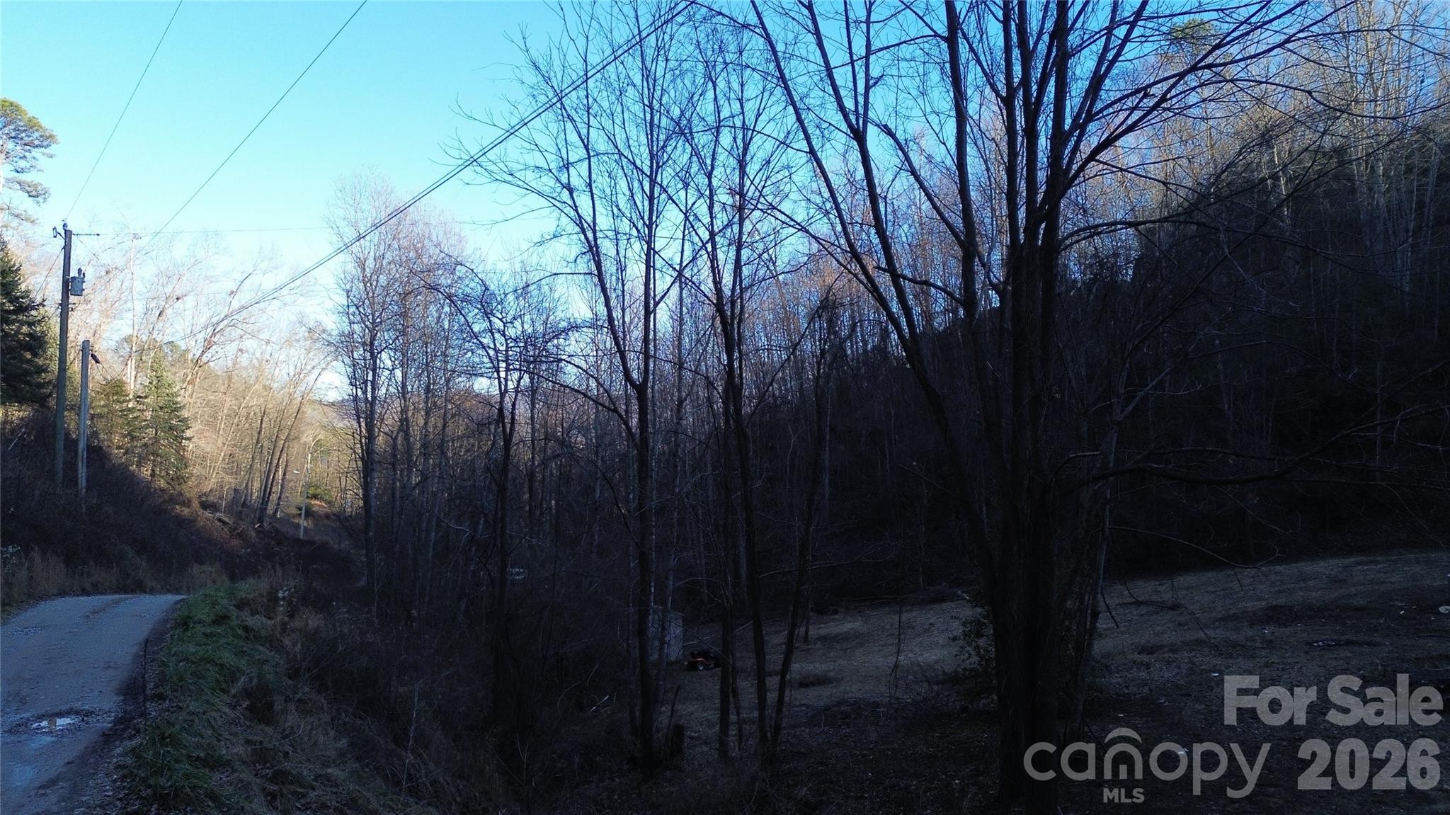 321 Mount Keys Drive Bryson City, NC 28713 - Photo 20 of 31 a view of outdoor space and yard