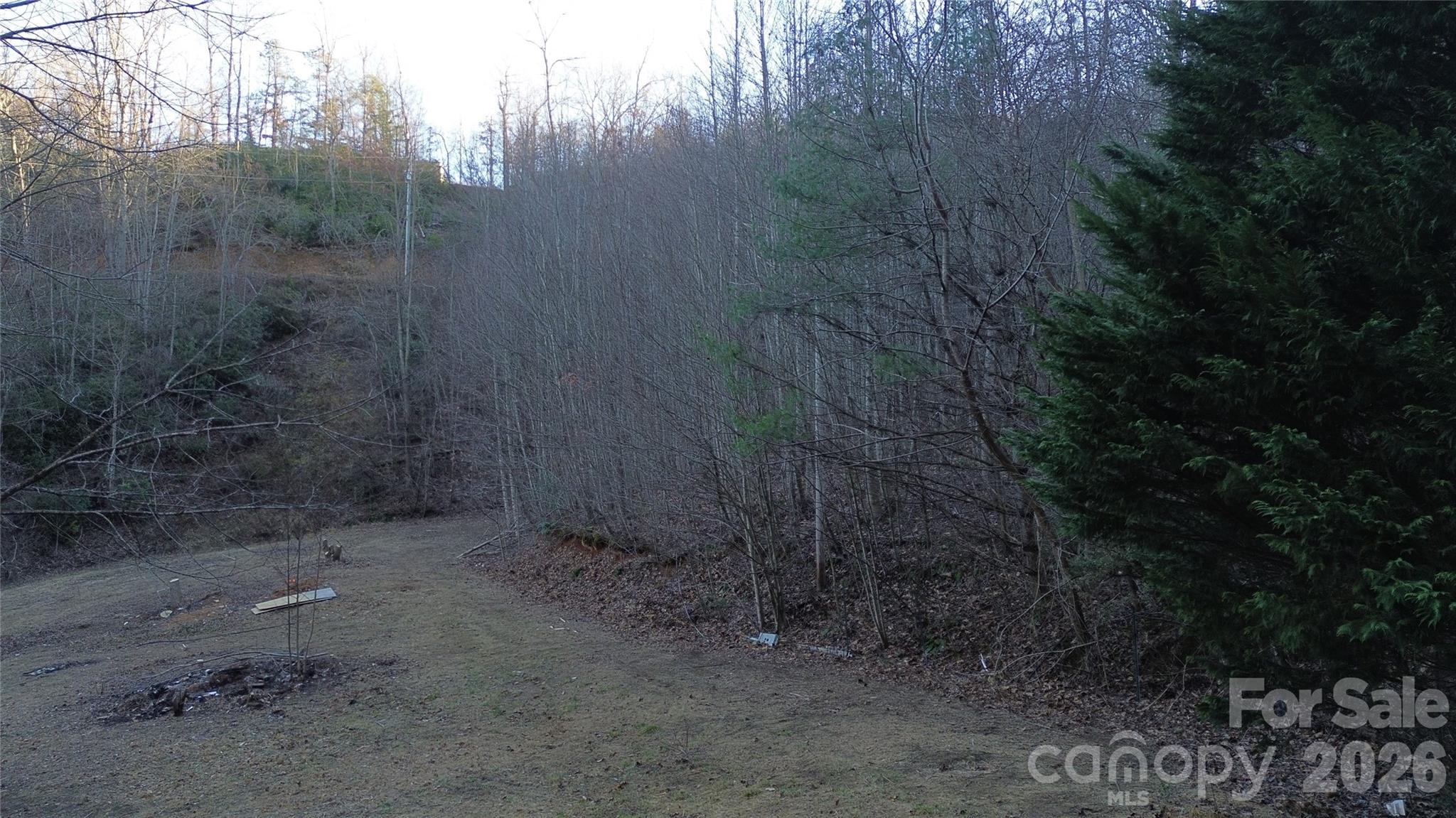 321 Mount Keys Drive Bryson City, NC 28713 - Photo 2 of 31 a view of a dry yard