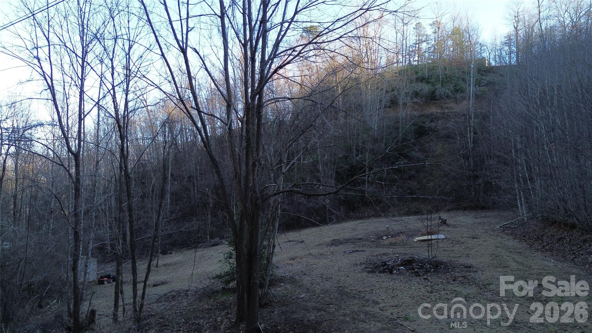 321 Mount Keys Drive Bryson City, NC 28713 - Photo 21 of 31 a backyard of a house with a trees