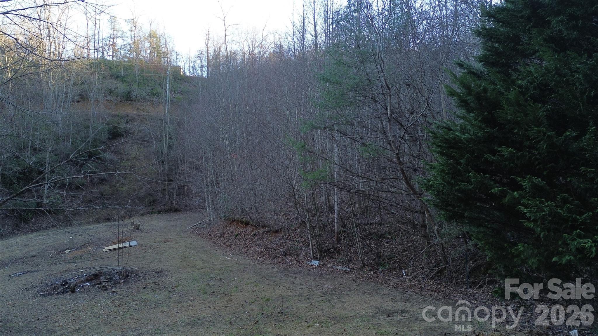 321 Mount Keys Drive Bryson City, NC 28713 - Photo 23 of 31 a view of a dry yard