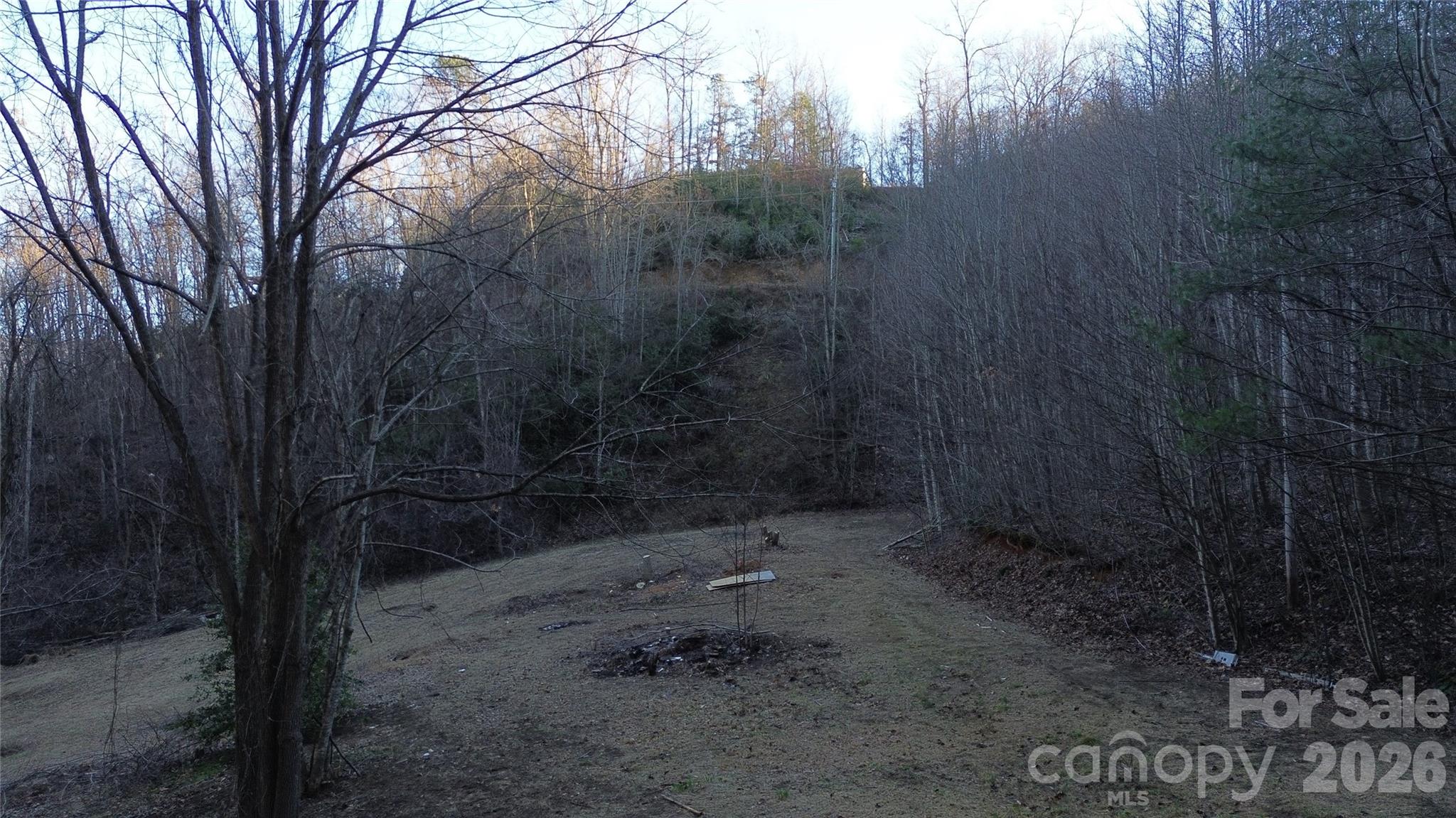 321 Mount Keys Drive Bryson City, NC 28713 - Photo 24 of 31 a backyard of a house