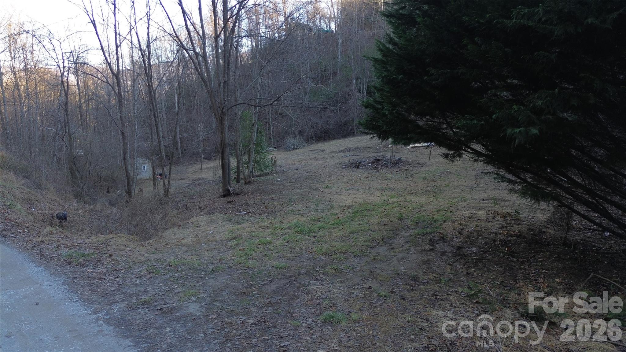 321 Mount Keys Drive Bryson City, NC 28713 - Photo 26 of 31
