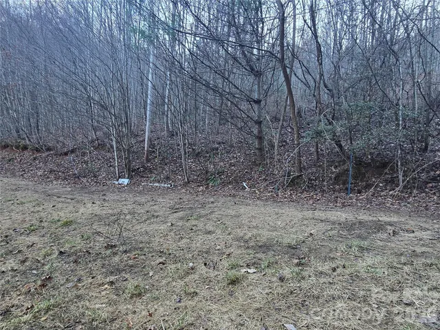 a view of a backyard with trees