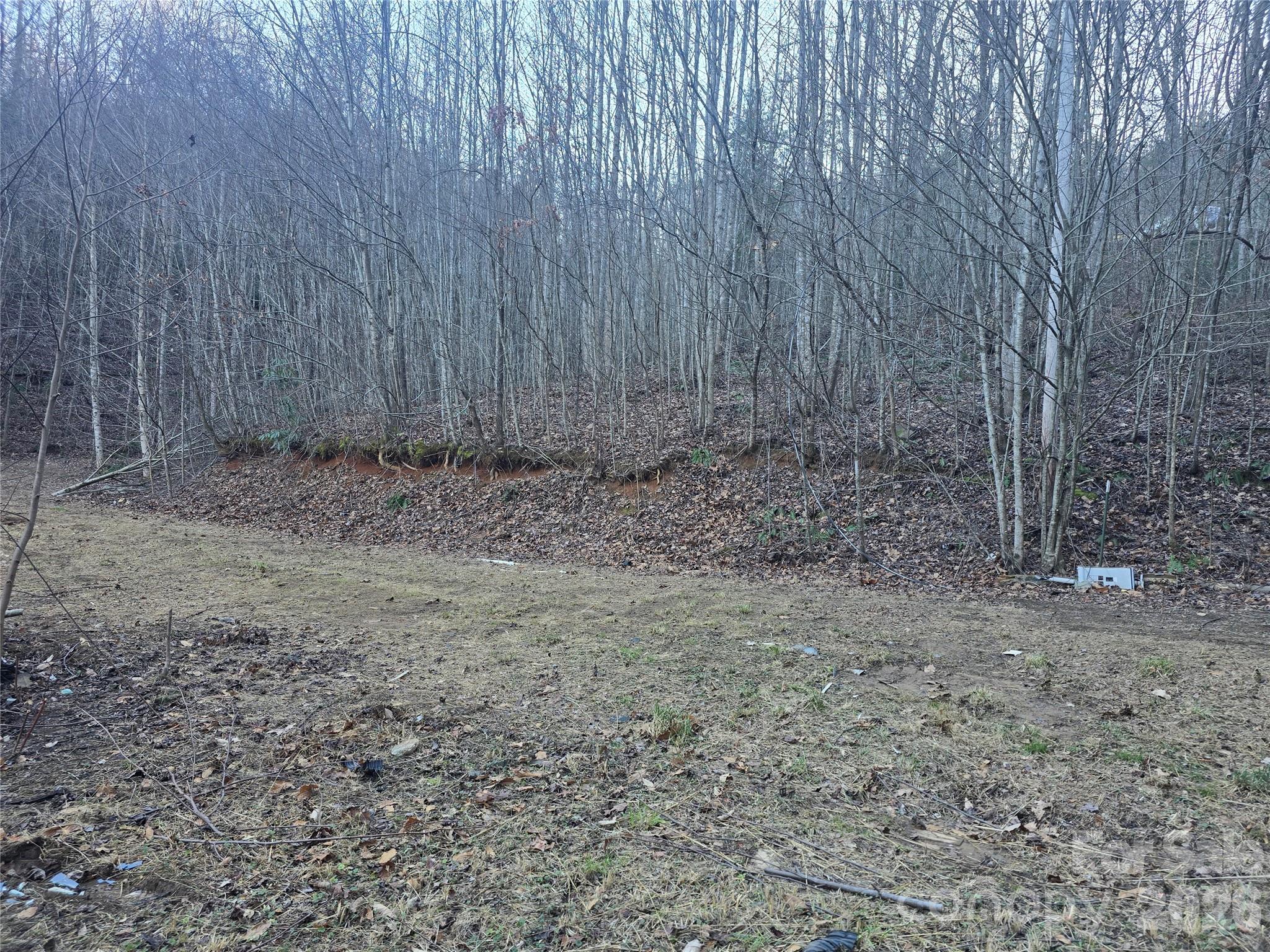 321 Mount Keys Drive Bryson City, NC 28713 - Photo 29 of 31 a view of a backyard with trees