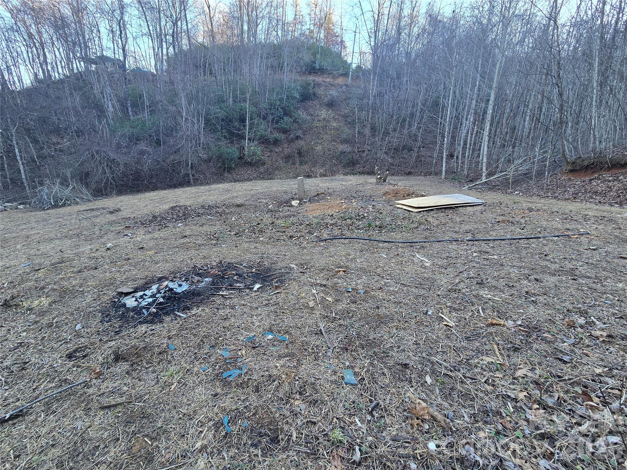 321 Mount Keys Drive Bryson City, NC 28713 - Photo 30 of 31 a view of a dry yard with trees