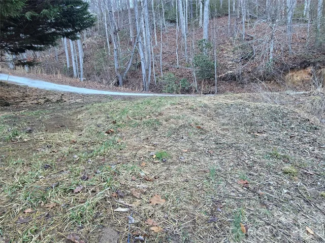 a view of a yard with trees