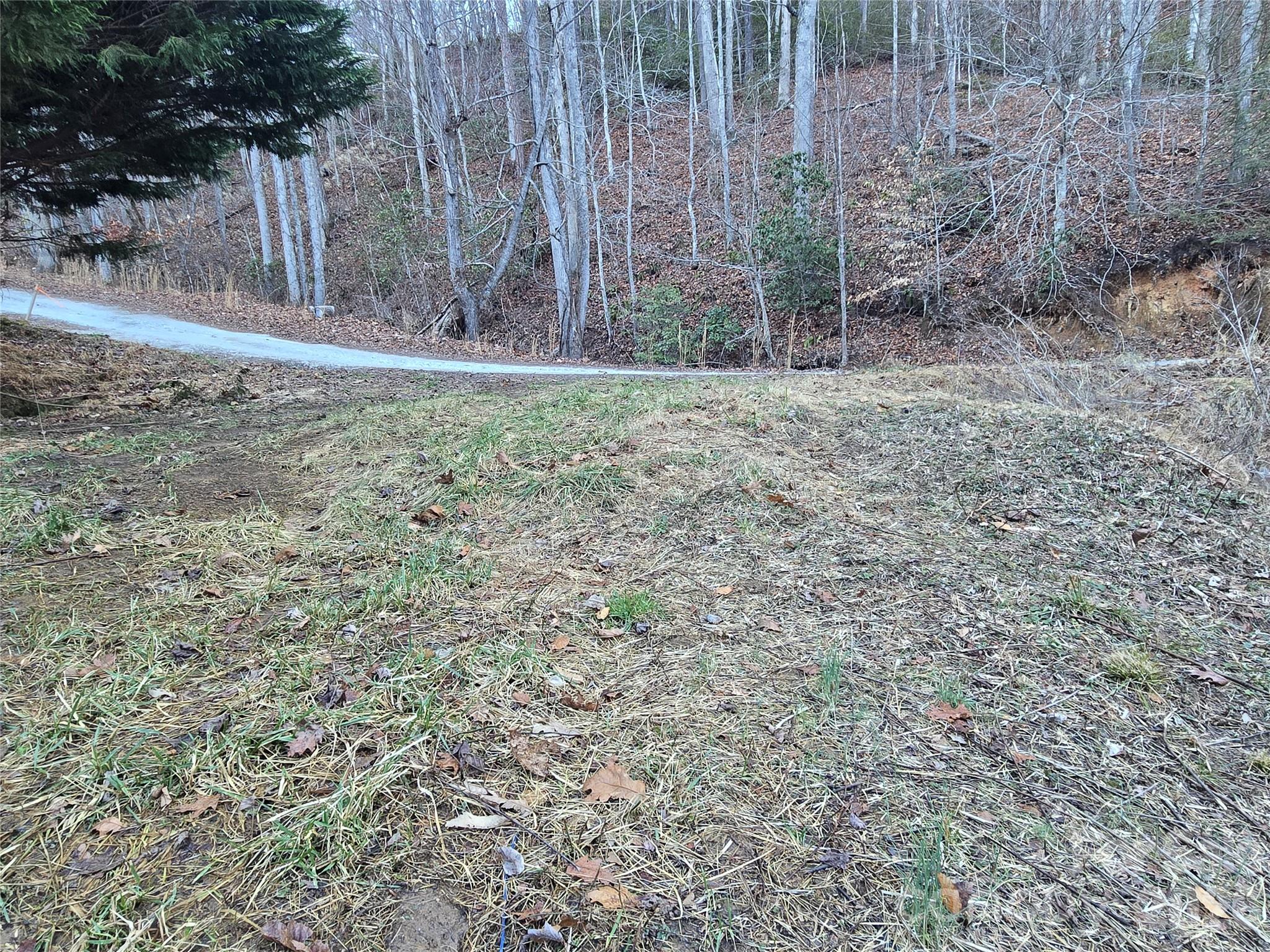 321 Mount Keys Drive Bryson City, NC 28713 - Photo 5 of 31 a view of a yard with trees