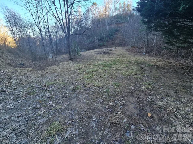 a view of a backyard with large trees