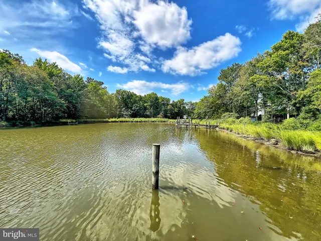 a view of a lake with a bench under large tree