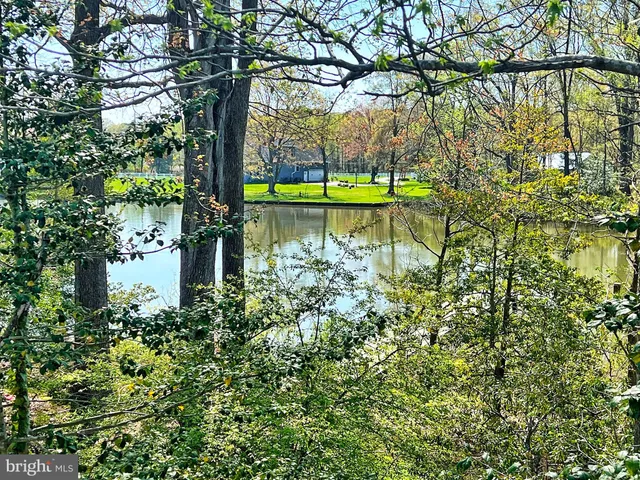 a swimming pool with trees in the background