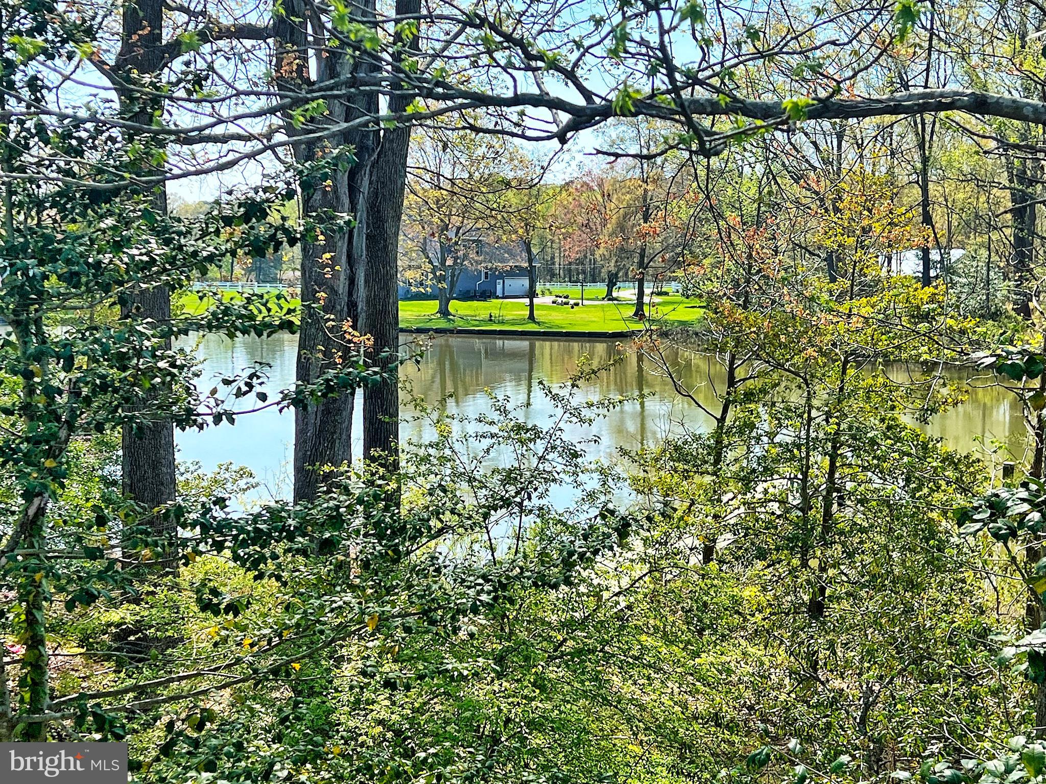 5629 Gunner Run Road Churchton, MD 20733 - Photo 48 of 51 a view of a lake with a bench under large tree