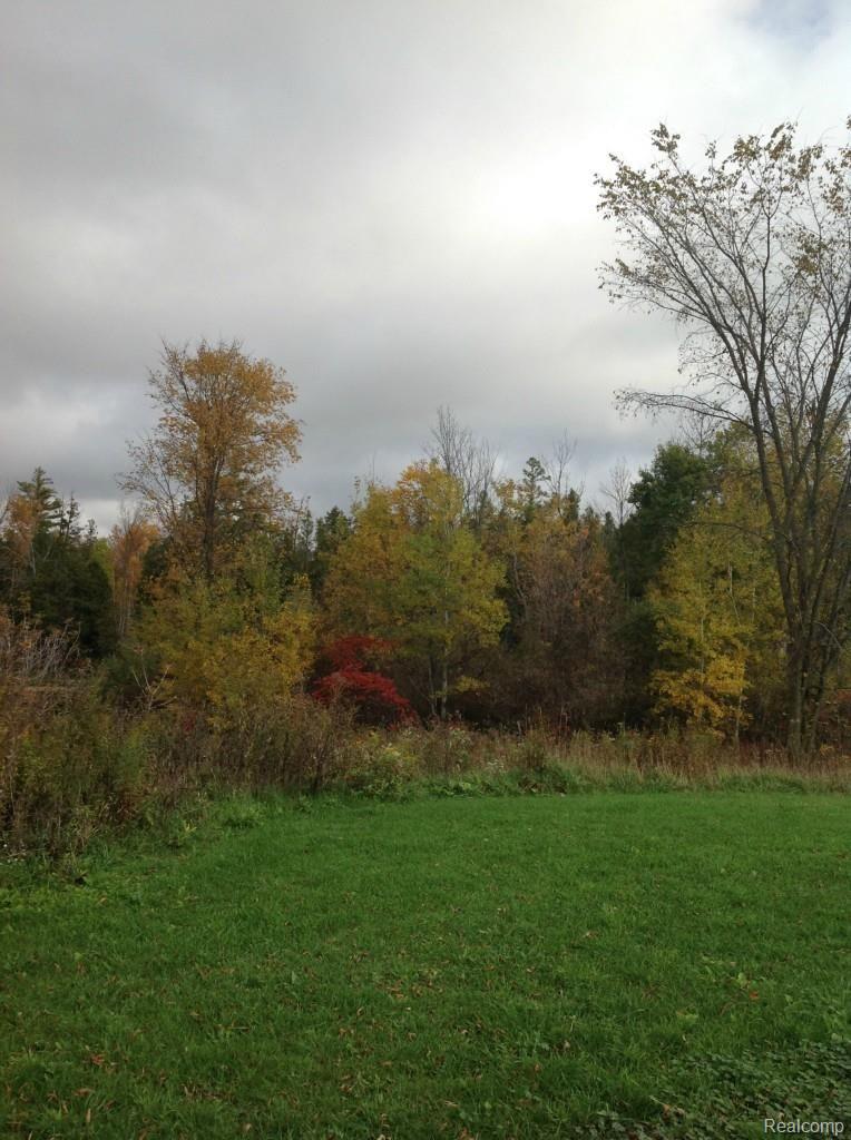 6147 Willis Road North Branch, MI 48461 - Photo 31 of 41 Great Hunting Property