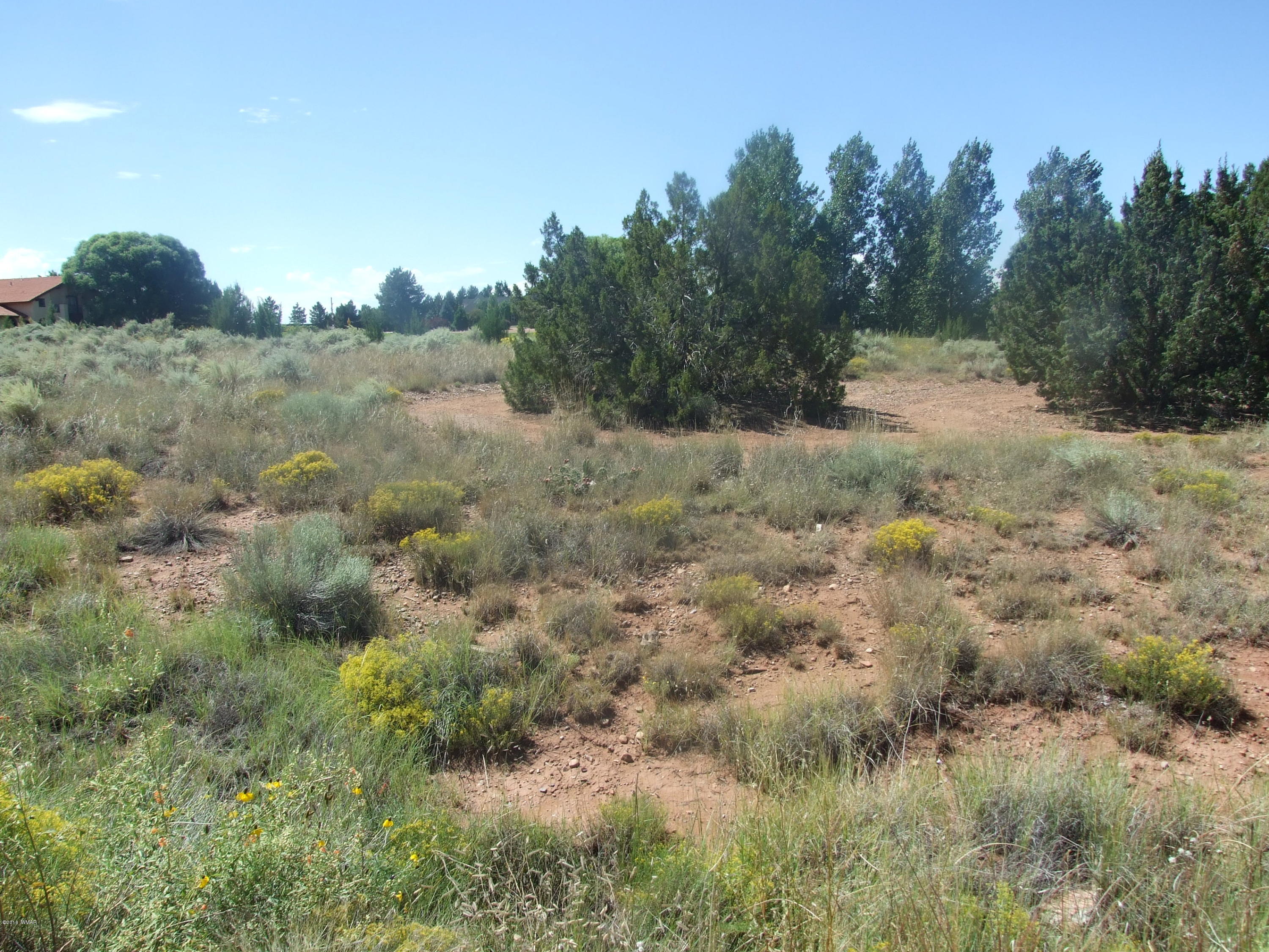 Lot 75 Snowflake Golf Course Snowflake, AZ 85937 - Photo 1 of 9 a view of a forest with trees in the background
