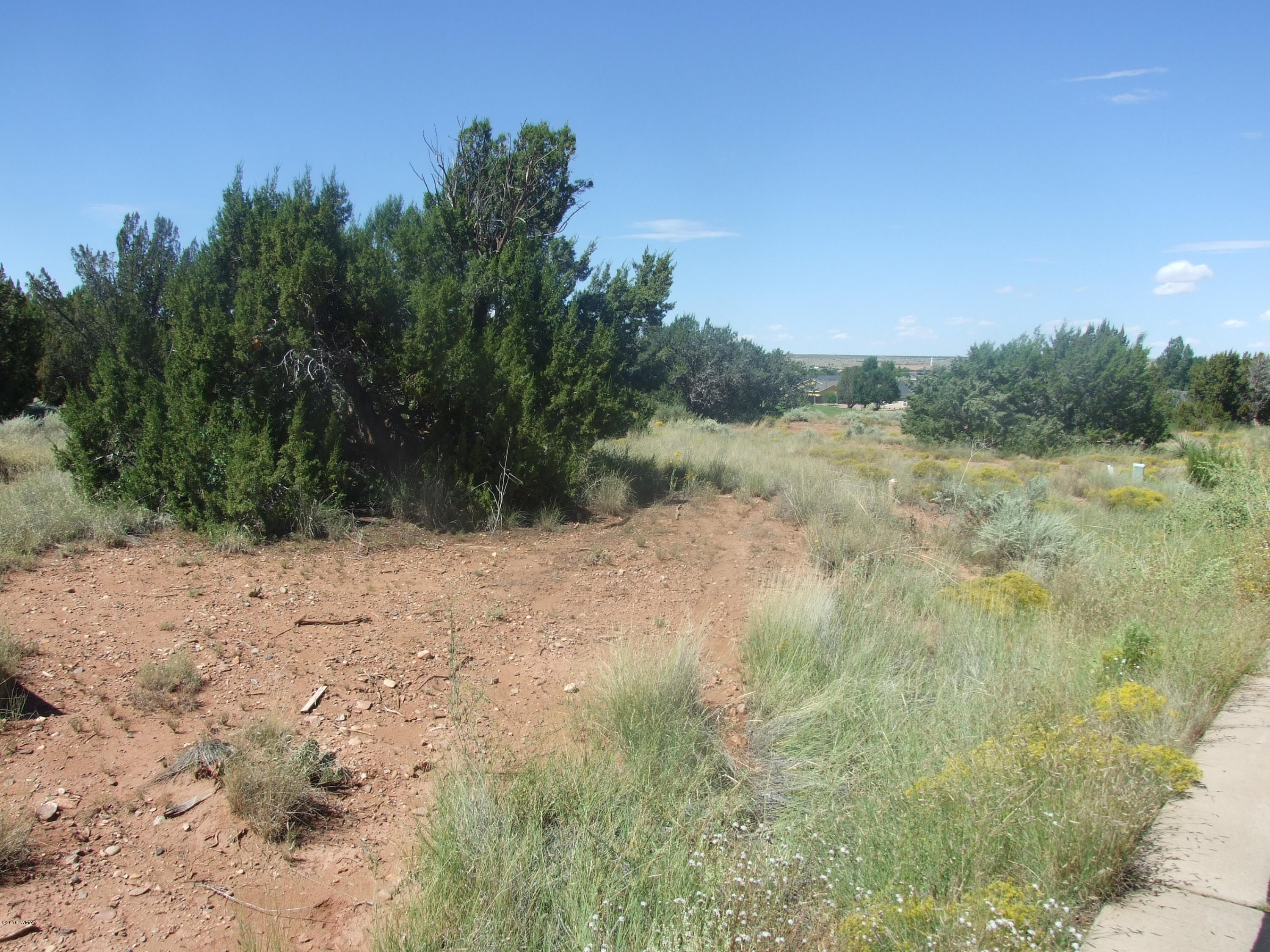 Lot 75 Snowflake Golf Course Snowflake, AZ 85937 - Photo 3 of 9 a view of a yard with a tree