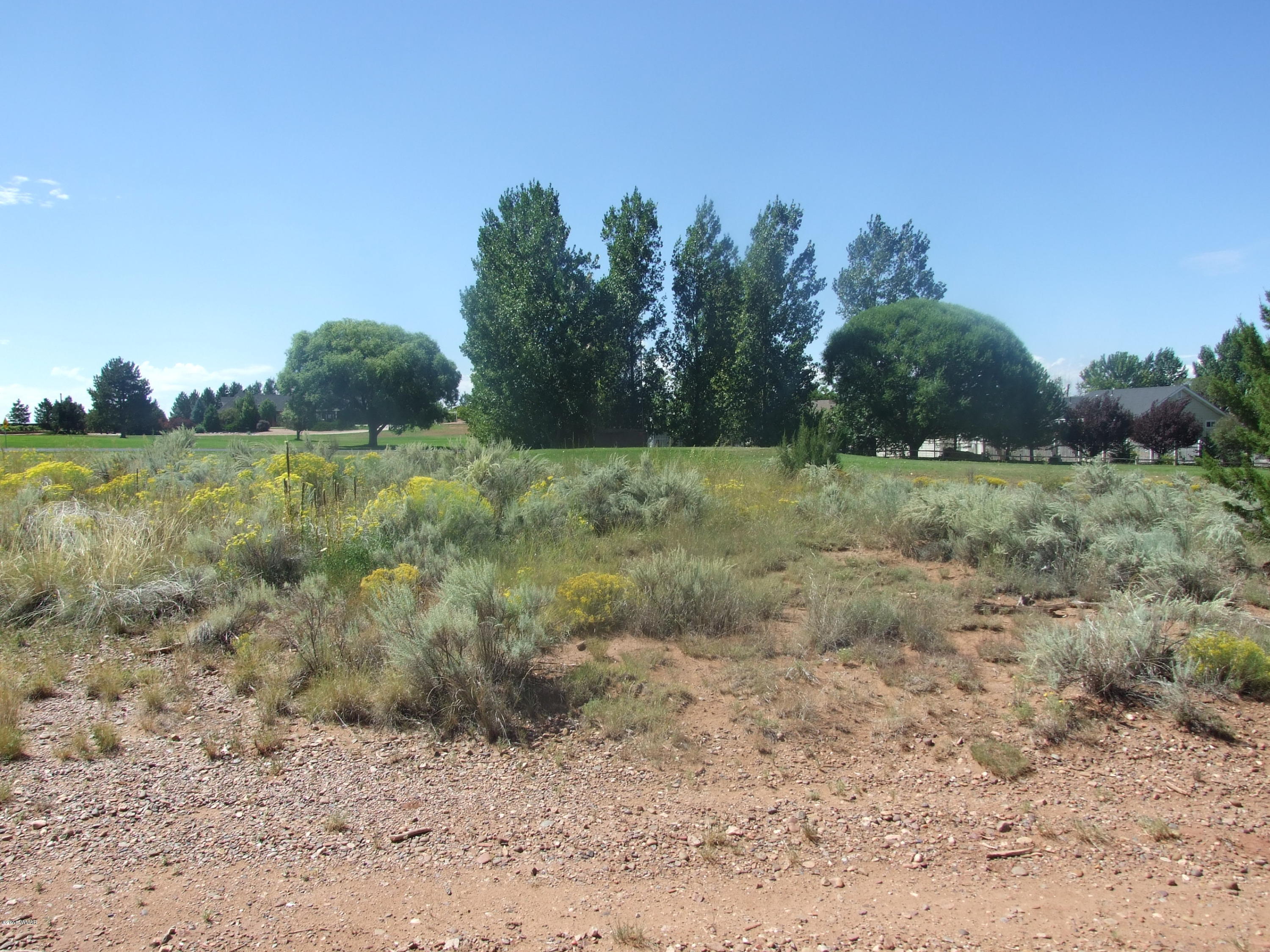 Lot 75 Snowflake Golf Course Snowflake, AZ 85937 - Photo 5 of 9 a view of a dry yard with trees