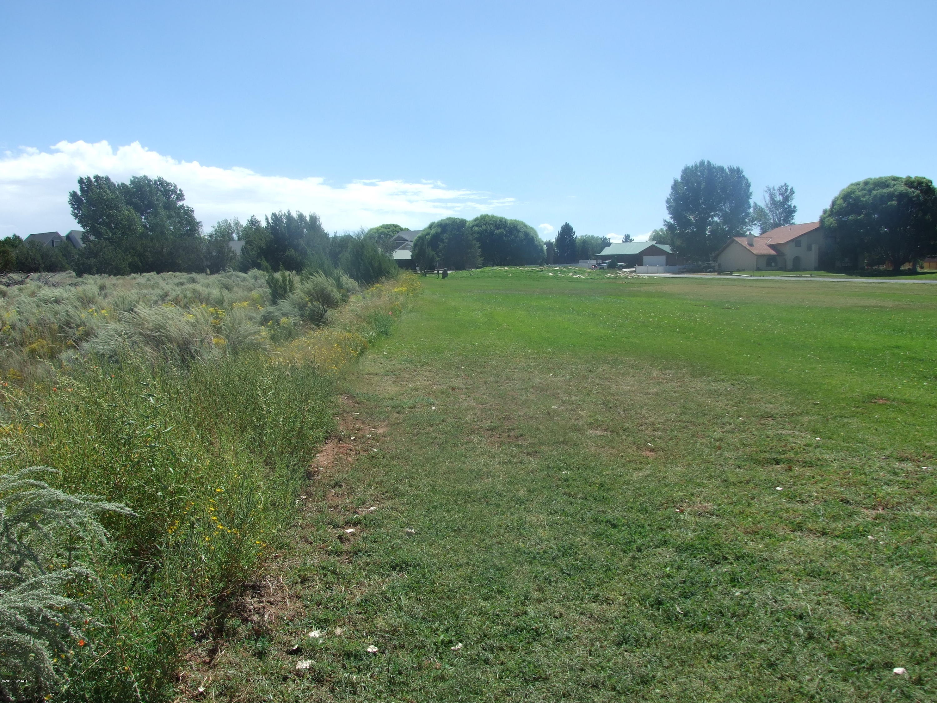 Lot 75 Snowflake Golf Course Snowflake, AZ 85937 - Photo 6 of 9 a view of a field of grass and trees