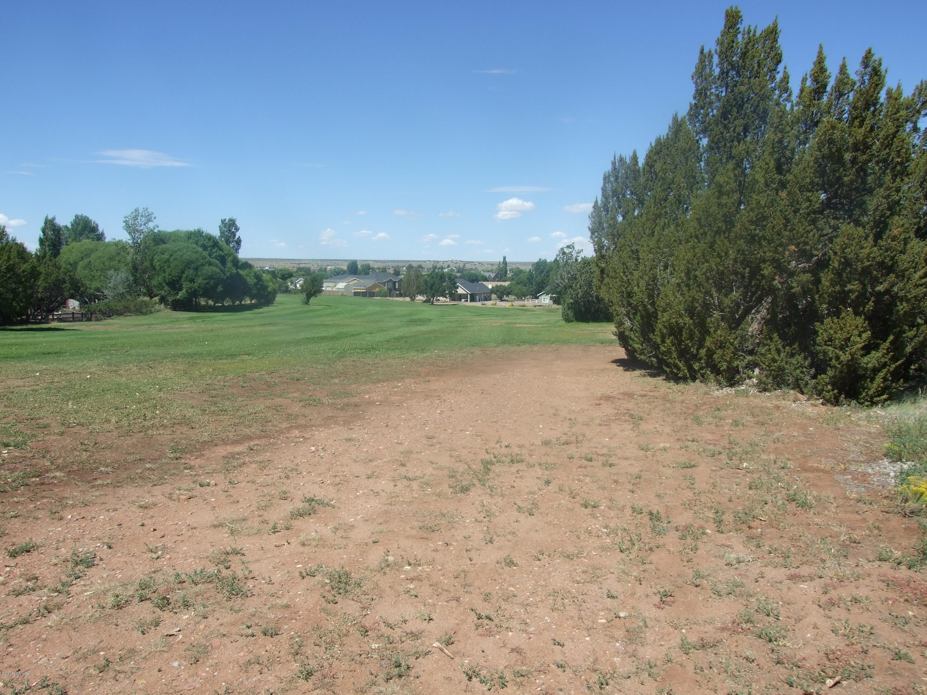 Lot 75 Snowflake Golf Course Snowflake, AZ 85937 - Photo 7 of 9 a view of field with trees in background