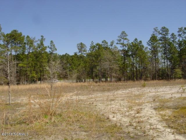 2 Richard Switch Road Currie, NC 28435 - Photo 1 of 6 thumb_DSC07140_1024