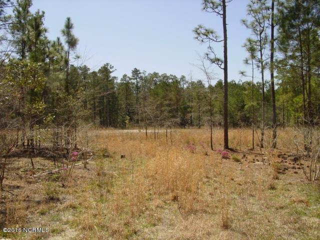 2 Richard Switch Road Currie, NC 28435 - Photo 2 of 6 thumb_DSC07135_1024