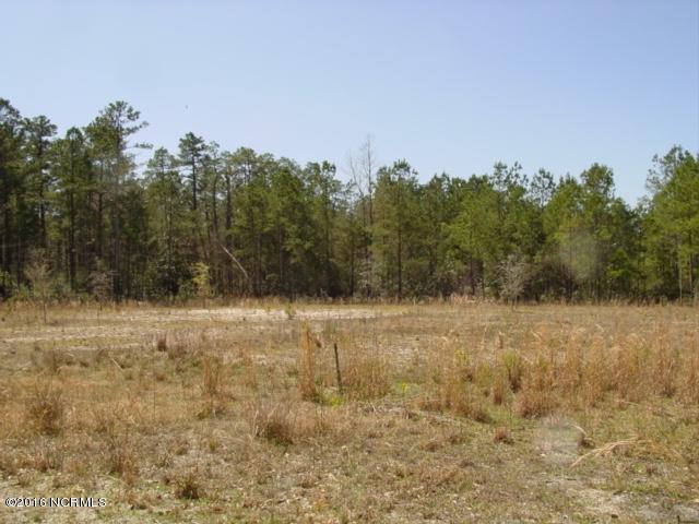 2 Richard Switch Road Currie, NC 28435 - Photo 4 of 6 thumb_DSC07137_1024