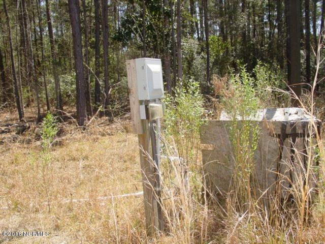 2 Richard Switch Road Currie, NC 28435 - Photo 5 of 6 thumb_DSC07138_1024
