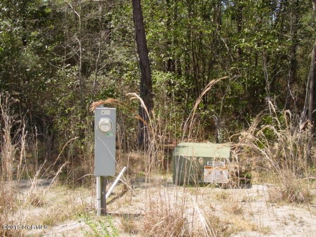 2 Richard Switch Road Currie, NC 28435 - Photo 6 of 6 thumb_DSC07139_1024