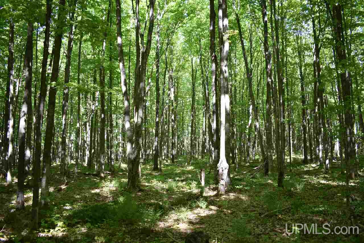 24-acres Co Rd Kb Big Bay, MI 49808 - Photo 30 of 50