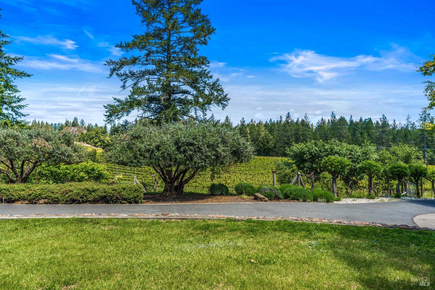 625-629 Hill Road Angwin, CA 94508 - Photo 4 of 64