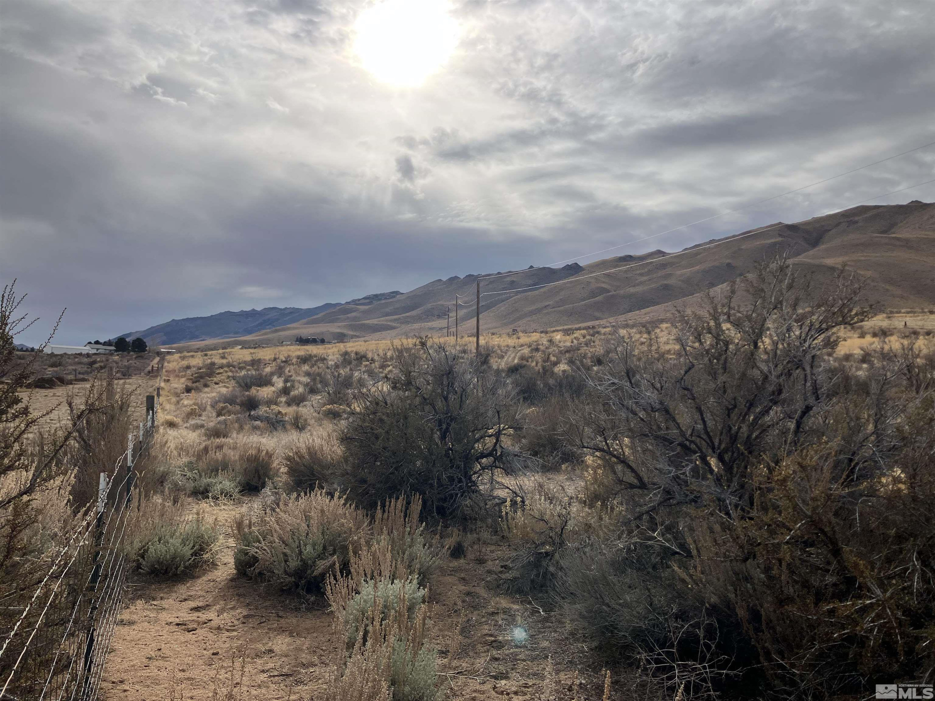 85 Appaloosa Circle Reno, NV 89508 - Photo 10 of 15 a view of a dry yard with trees