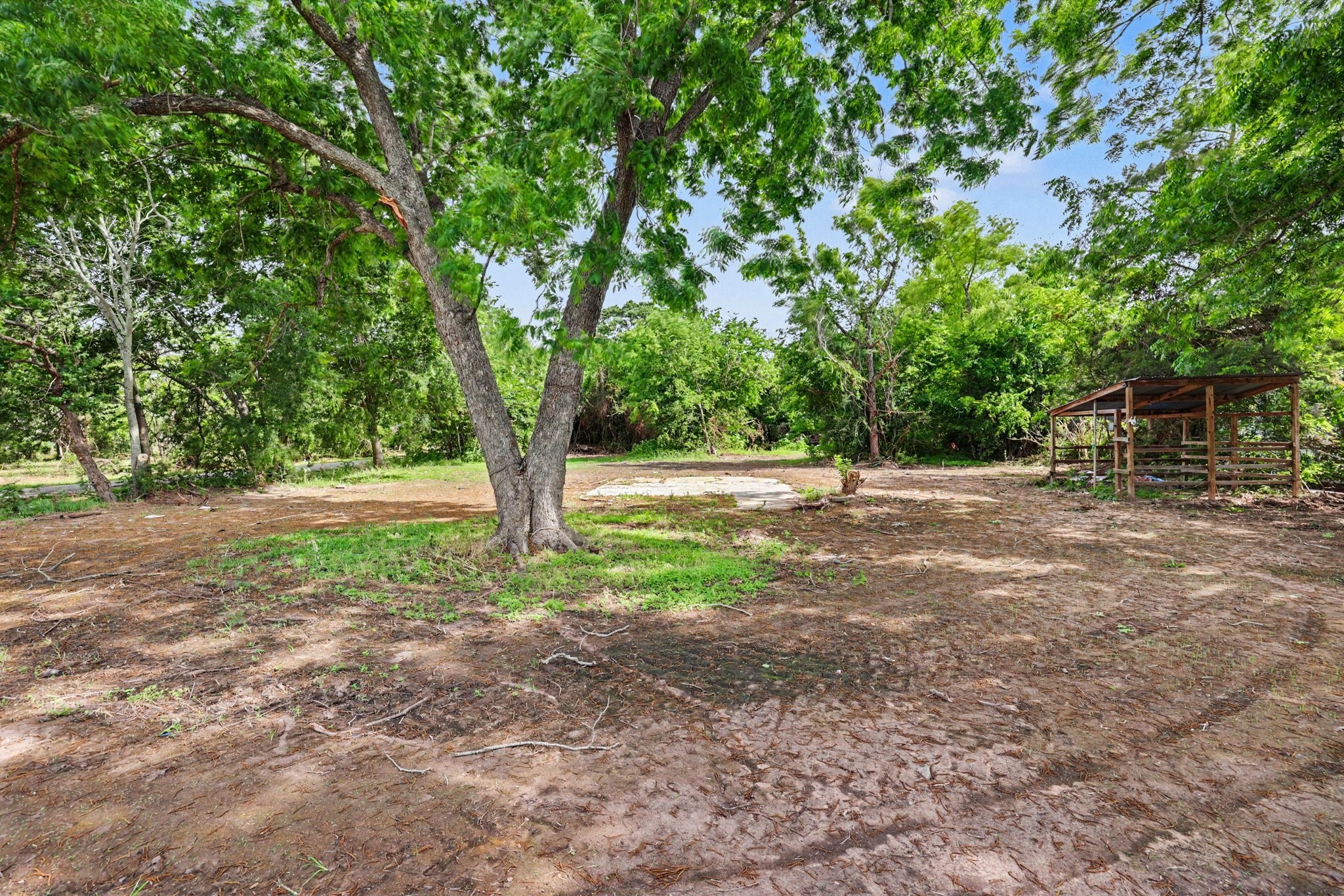 31730 Waller Tomball Road Waller, TX 77484 - Photo 46 of 50 This photo showcases a spacious, wooded outdoor area with mature trees and a rustic wooden structure. The setting offers ample shade and natural beauty, ideal for creating a serene backyard retreat.