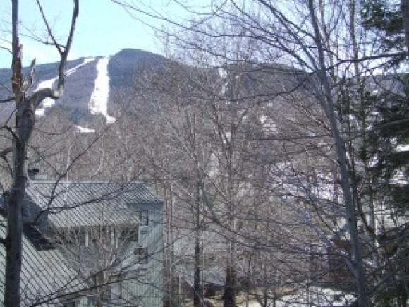 16 Beech Road, Unit 3 & 4 Lincoln, NH 03251 - Photo 17 of 17
