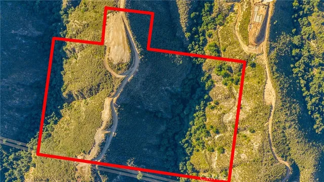 a view of a yard along with trees