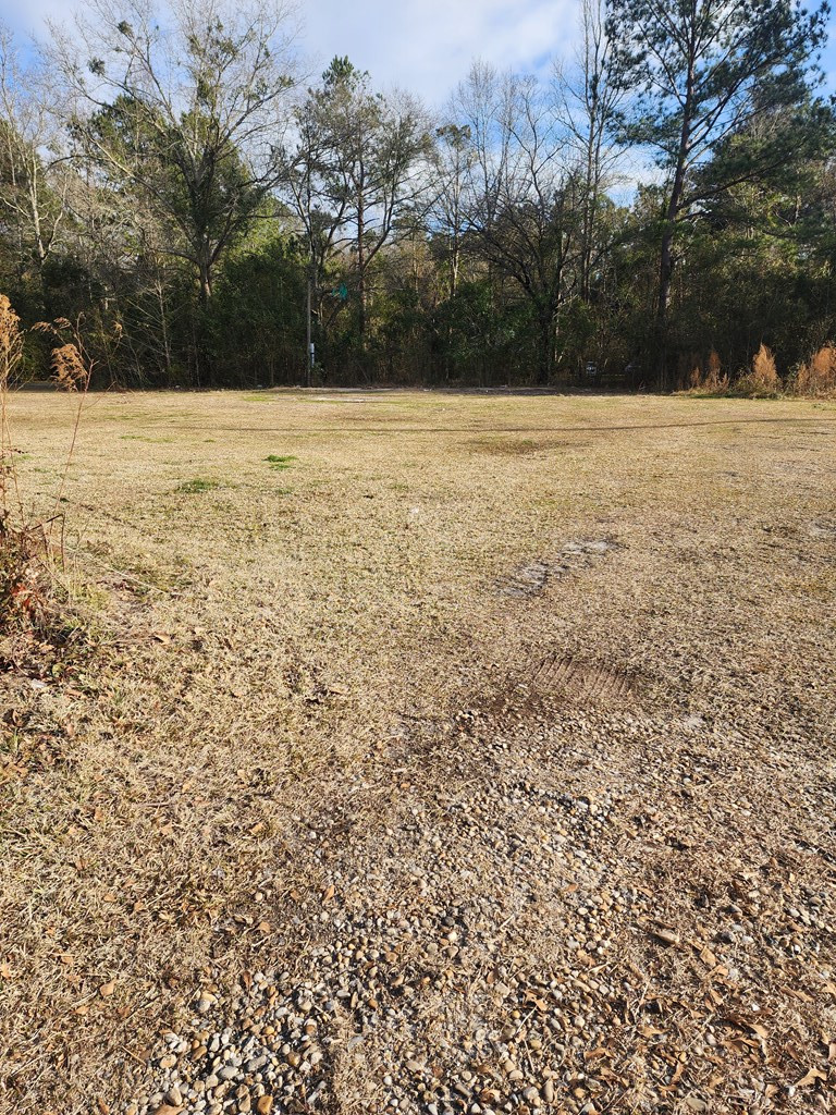 412 East Red Bay Road Sumter, SC 29153 - Photo 2 of 4 Gallery Image 2