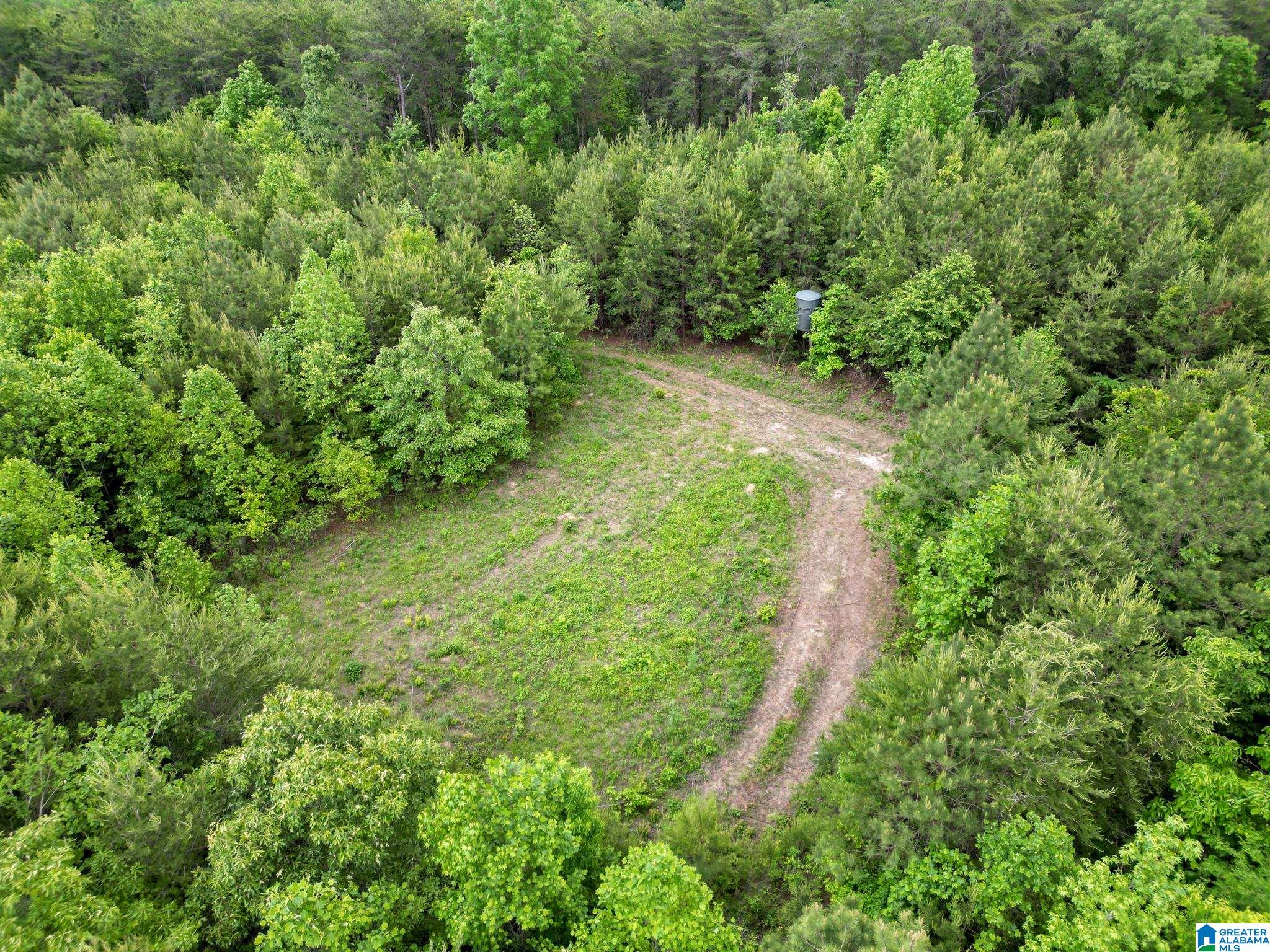 12680 Groundhog Road, Unit 1 Adger, AL 35006 - Photo 10 of 28