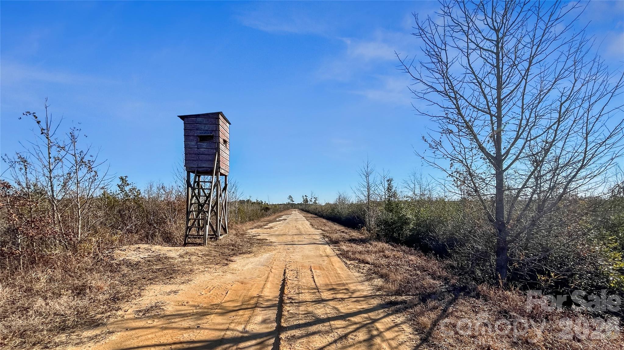 700-ac Earl Davis Road Rose Hill, NC 28458 - Photo 11 of 35 a view of a yard with trees in the background