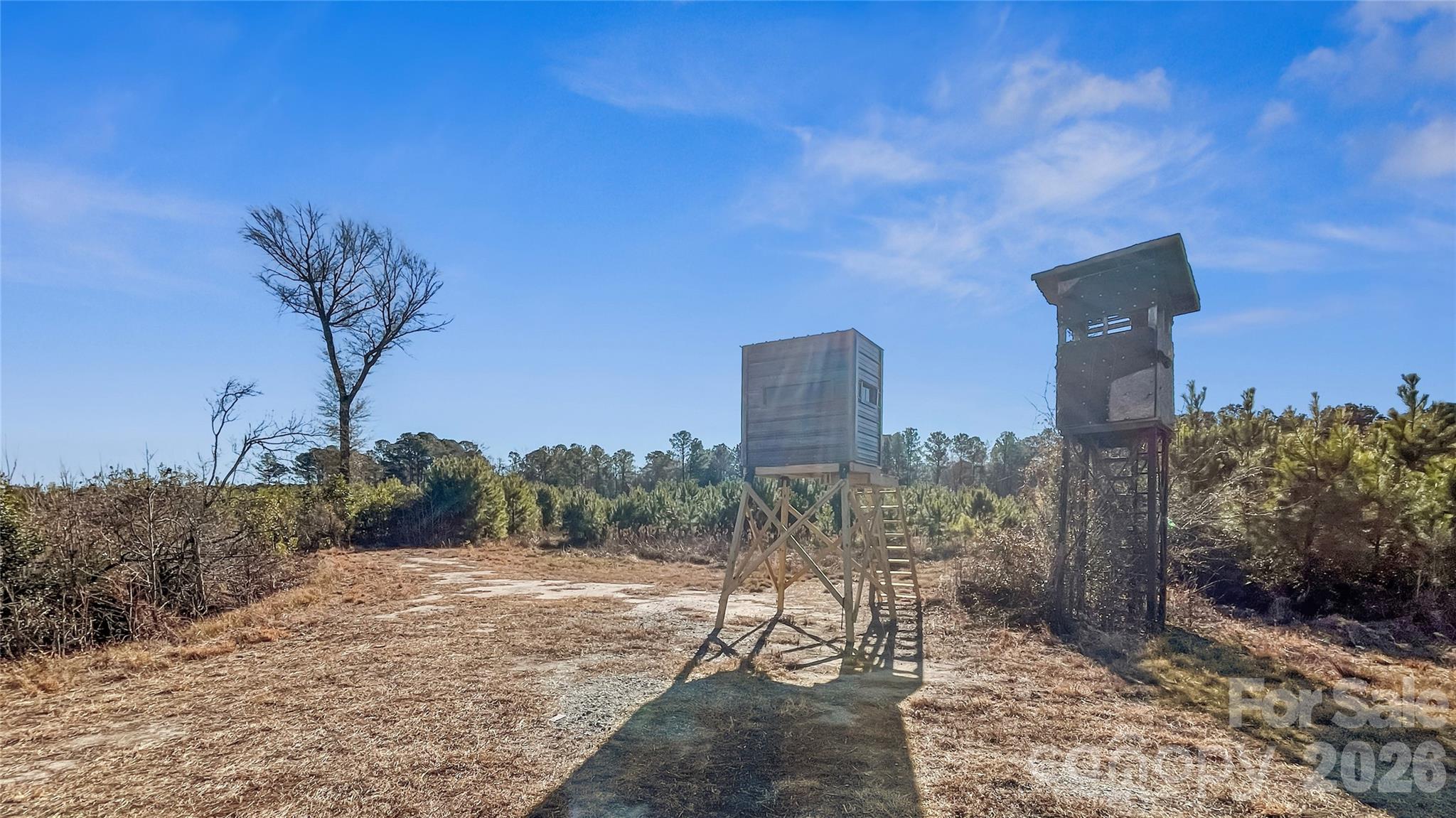 700-ac Earl Davis Road Rose Hill, NC 28458 - Photo 12 of 35 a view of a city with tall trees