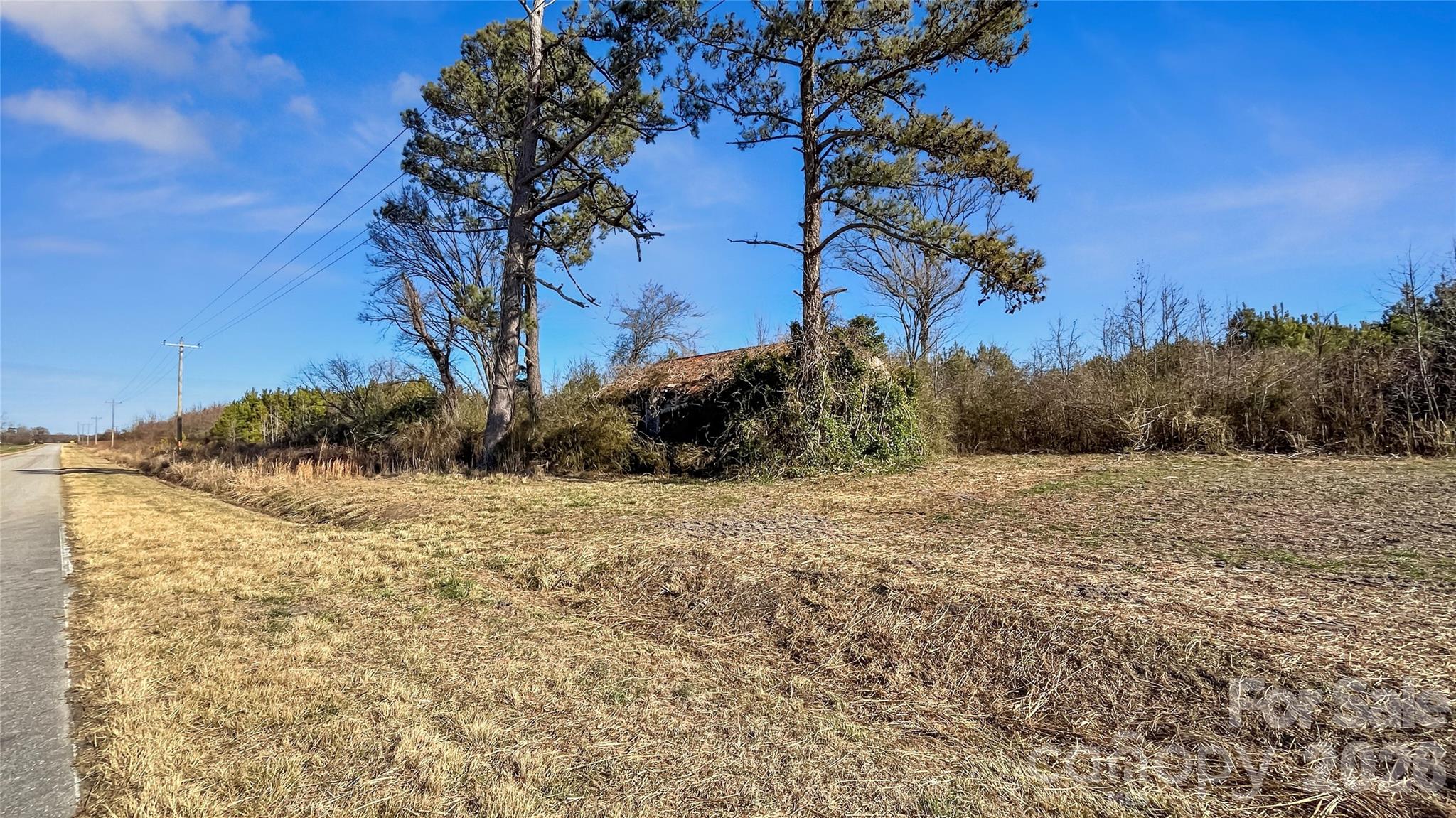 700-ac Earl Davis Road Rose Hill, NC 28458 - Photo 14 of 35 a view of a yard with an trees