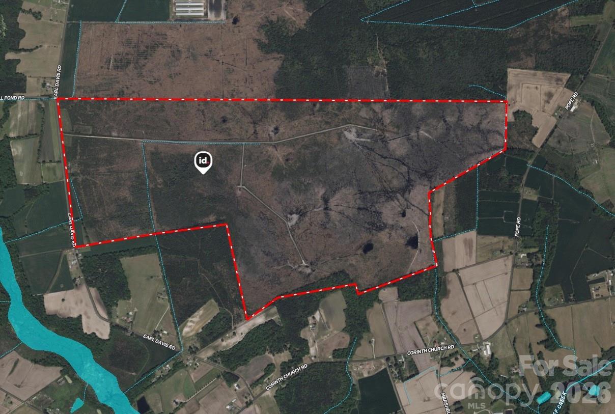 700-ac Earl Davis Road Rose Hill, NC 28458 - Photo 2 of 35