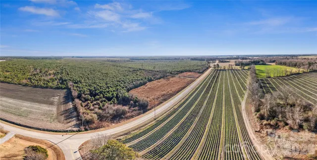 a view of an ocean beach