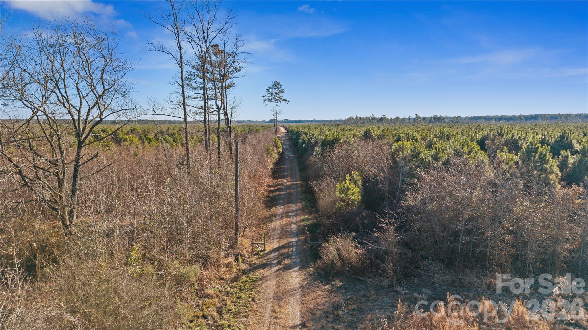 700-ac Earl Davis Road Rose Hill, NC 28458 - Photo 23 of 35 a view of a lake with a mountain in the background