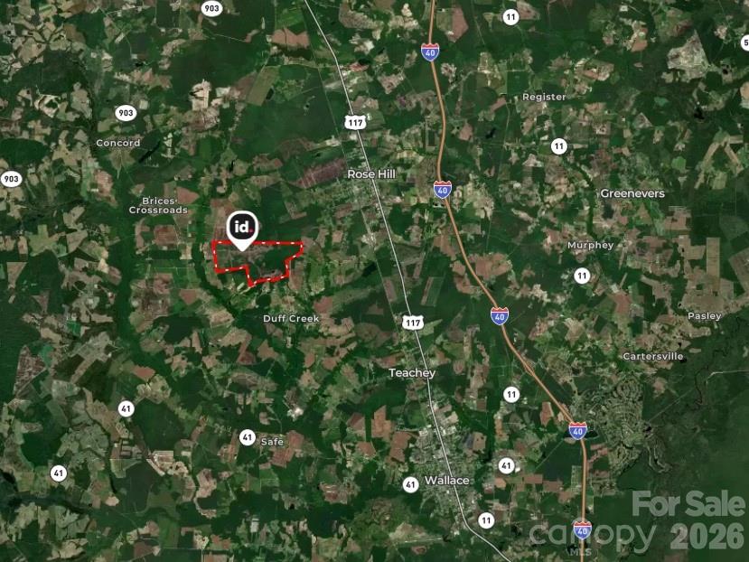 700-ac Earl Davis Road Rose Hill, NC 28458 - Photo 3 of 35 a view of a tree with a tree