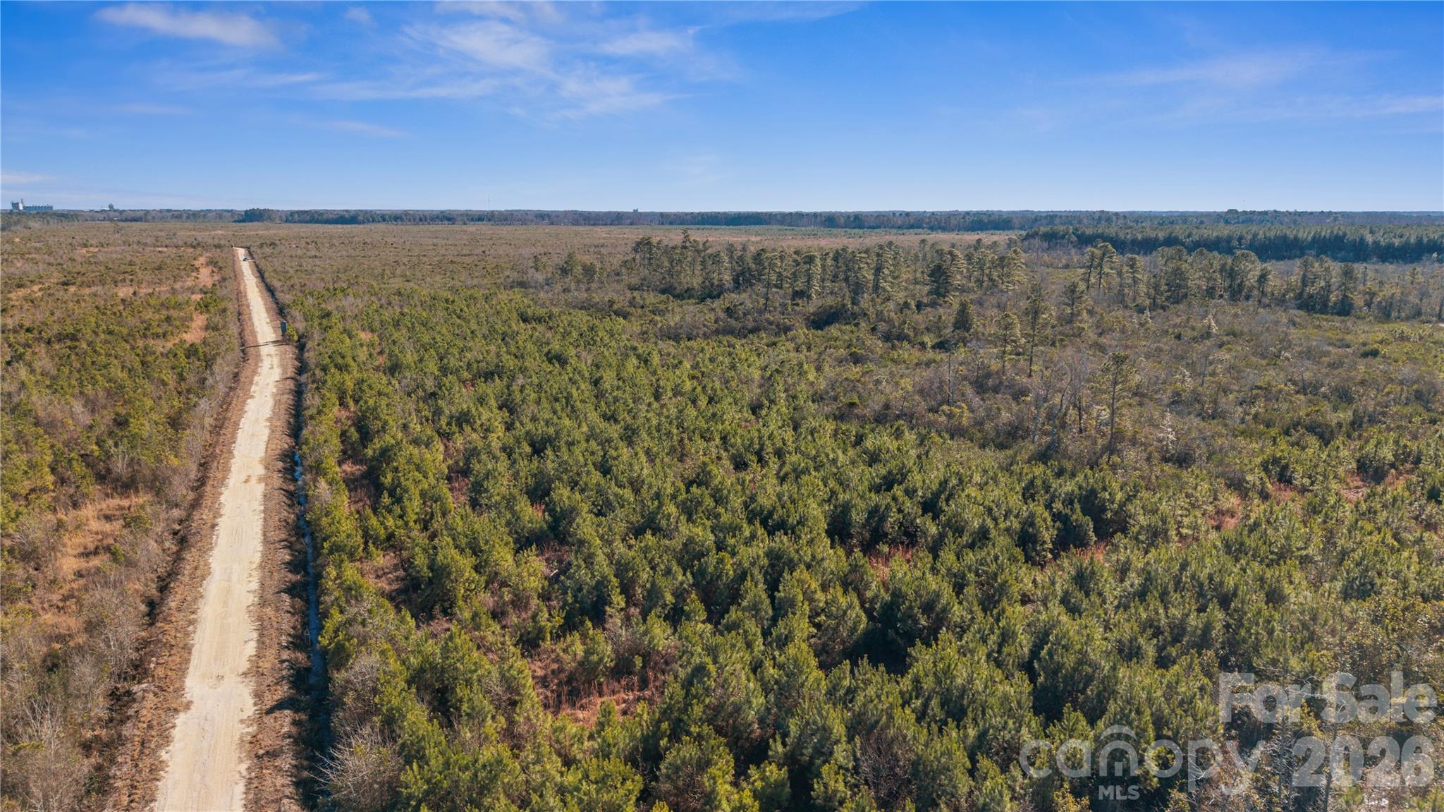 700-ac Earl Davis Road Rose Hill, NC 28458 - Photo 31 of 35 a view of city and mountain