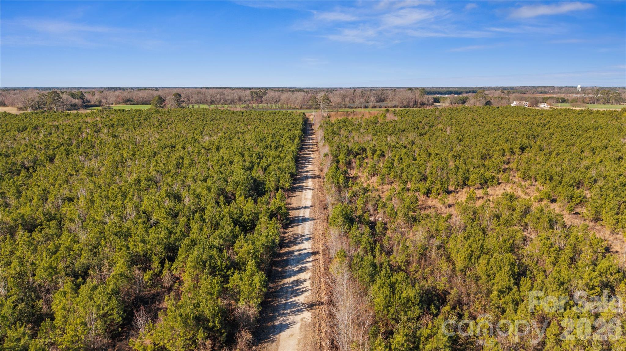 700-ac Earl Davis Road Rose Hill, NC 28458 - Photo 32 of 35 a view of under an ocean