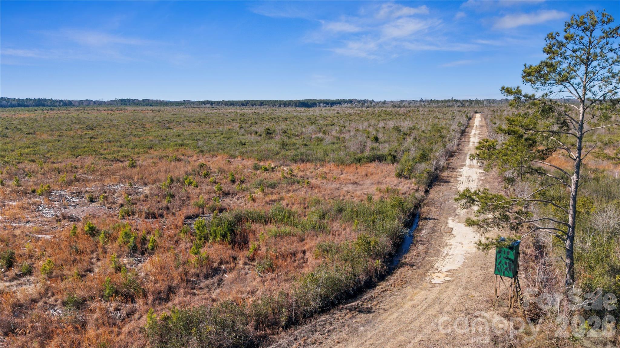 700-ac Earl Davis Road Rose Hill, NC 28458 - Photo 35 of 35 a view of lake and mountain in the back