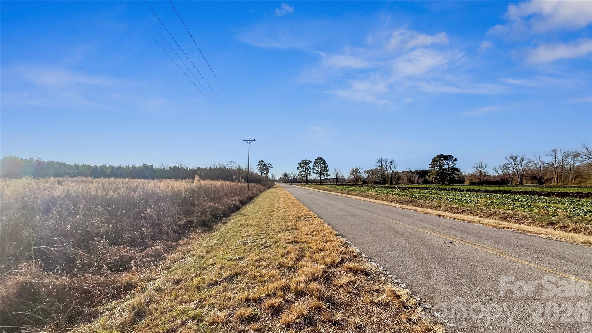 700-ac Earl Davis Road Rose Hill, NC 28458 - Photo 4 of 35 a view of a lake