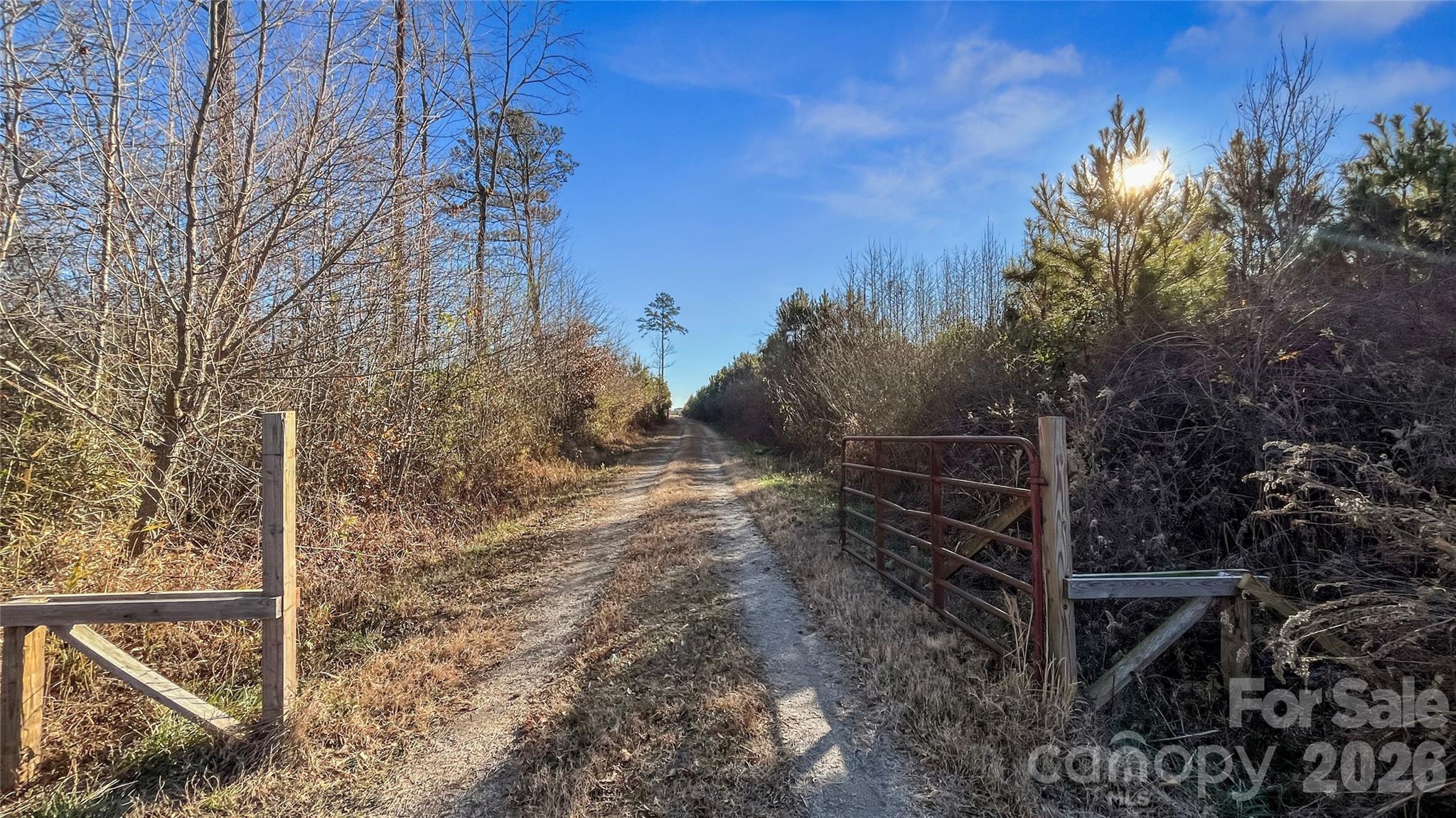 700-ac Earl Davis Road Rose Hill, NC 28458 - Photo 5 of 35 a view of outdoor space and yard